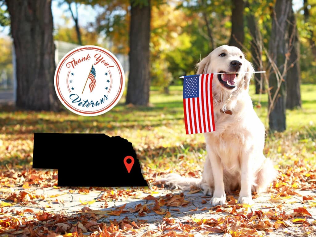 Supporting Lincoln veterans through companionship and loving pets.